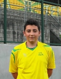 christianguerzoni attacc web