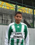 zaid- el hazmi web