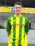 samuelbertoldicenweb