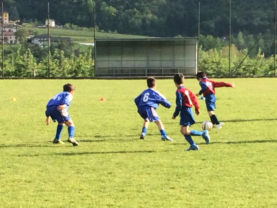 gialli vs ortigaralefre