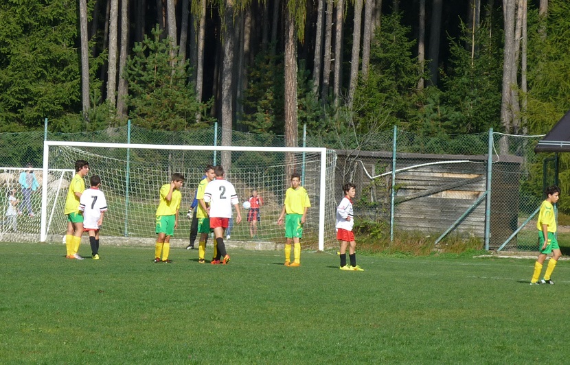 vs pine