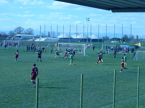 vs olmo 3