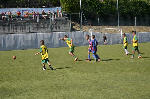 torneo pulcini