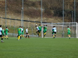 Telve-Alense5