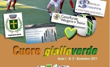 Cuore gialloverde copertina n2 ritaglio