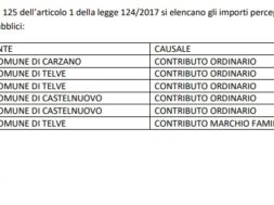 contributi pubblici 2019