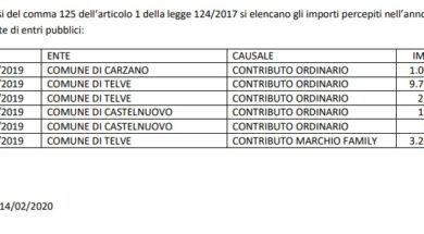 contributi pubblici 2019